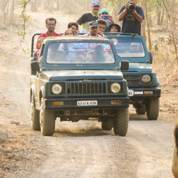 Jeep Safari in Gir