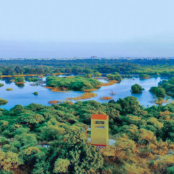 Victoria Park - India_s oldest man-made forests